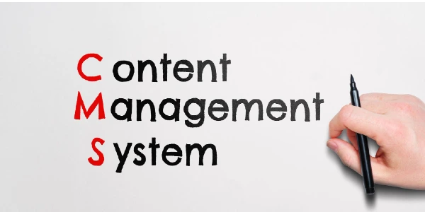 Acronym cms or content management system the person wrote the text